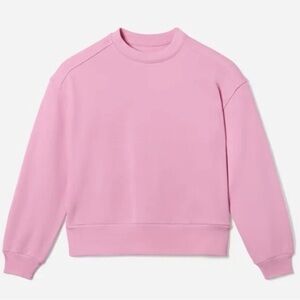 Everlane Soft Pink Crew Neck Sweatshirt